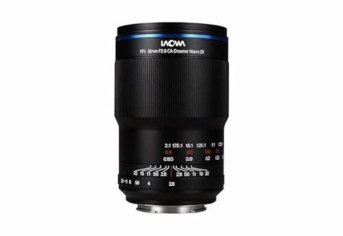 Venus Laowa 10 mm f/4 Ultra-Weitwinkel-APS-C Manueller Fokus-Objektiv für spiegellose Sony FE Mount Kamera von wotsun